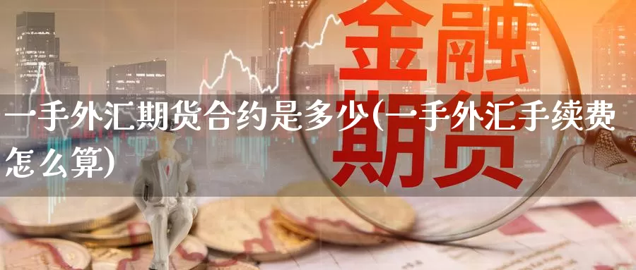 一手外汇期货合约是多少(一手外汇手续费怎么算)