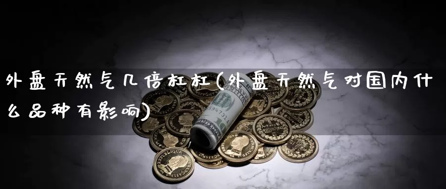 外盘天然气几倍杠杠(外盘天然气对国内什么品种有影响)