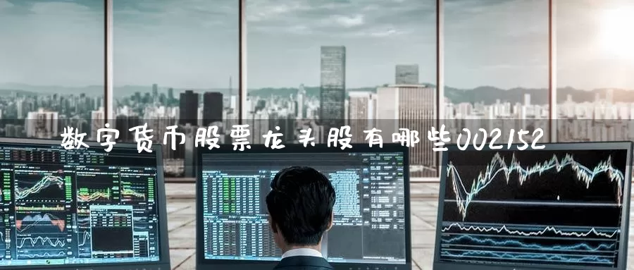 数字货币股票龙头股有哪些002152