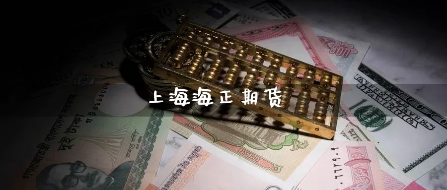上海海正期货