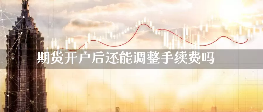 期货开户后还能调整手续费吗