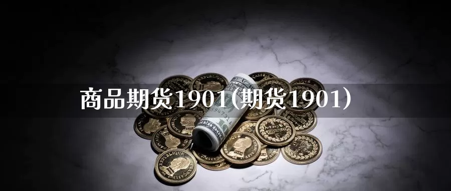 商品期货1901(期货1901)