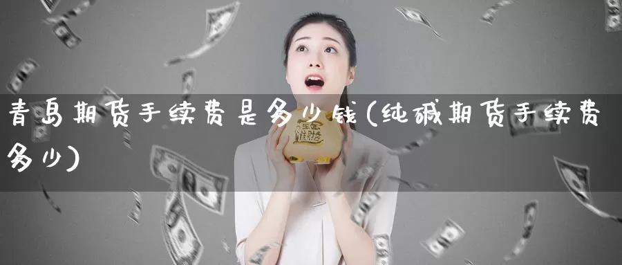 青岛期货手续费是多少钱(纯碱期货手续费多少)