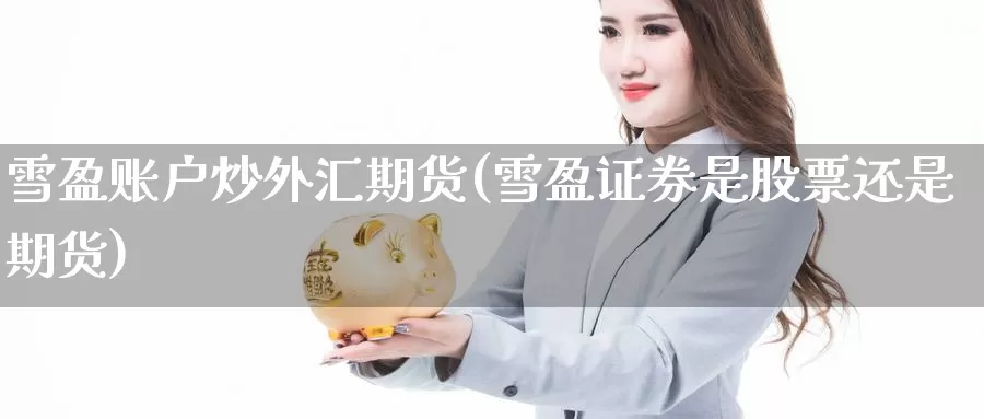 雪盈账户炒外汇期货(雪盈证券是股票还是期货)