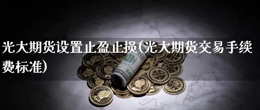 光大期货设置止盈止损(光大期货交易手续费标准)
