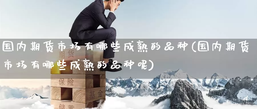 国内期货市场有哪些成熟的品种(国内期货市场有哪些成熟的品种呢)