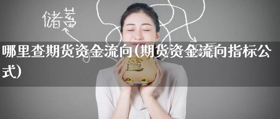 哪里查期货资金流向(期货资金流向指标公式)