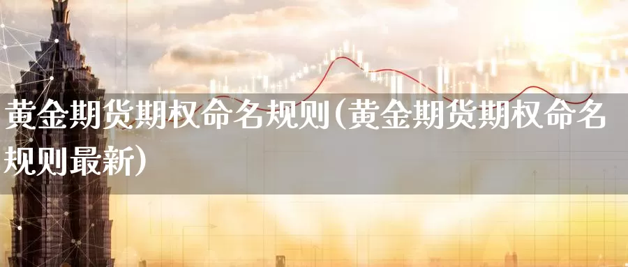 黄金期货期权命名规则(黄金期货期权命名规则最新)