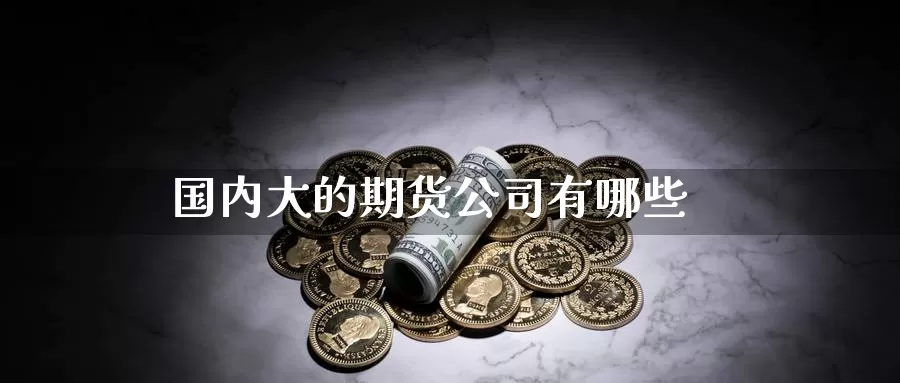 国内大的期货公司有哪些