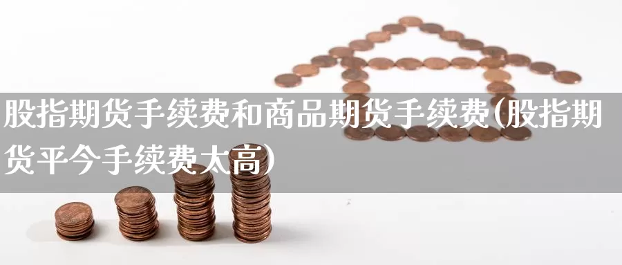 股指期货手续费和商品期货手续费(股指期货平今手续费太高)