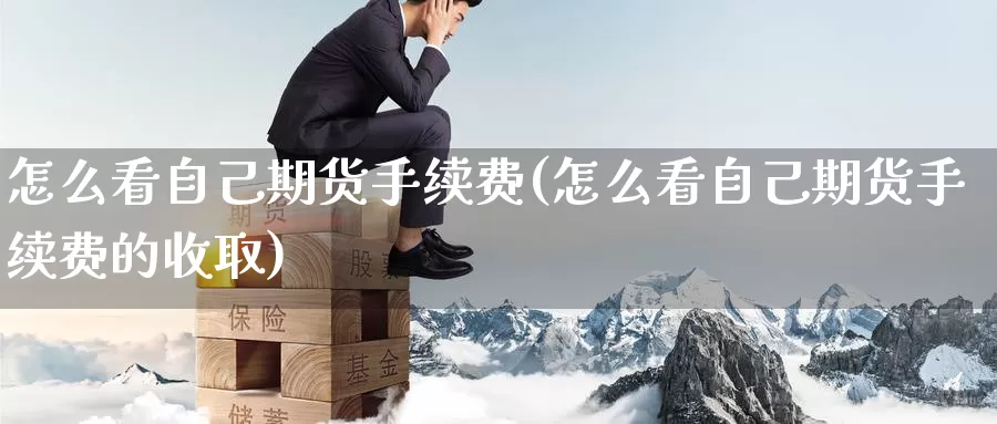 怎么看自己期货手续费(怎么看自己期货手续费的收取)