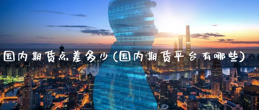 国内期货点差多少(国内期货平台有哪些)