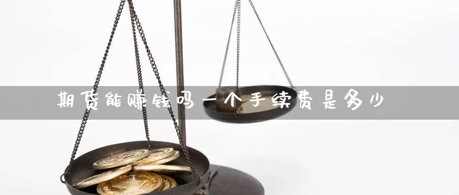 期货能赚钱吗一个手续费是多少