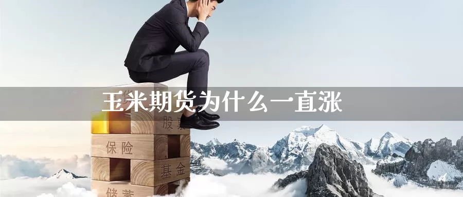 玉米期货为什么一直涨