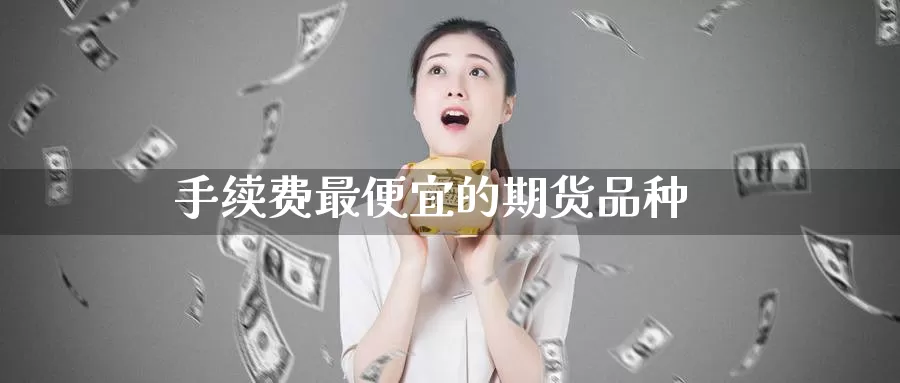 手续费最便宜的期货品种
