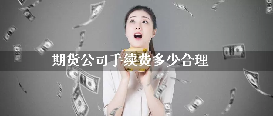 期货公司手续费多少合理