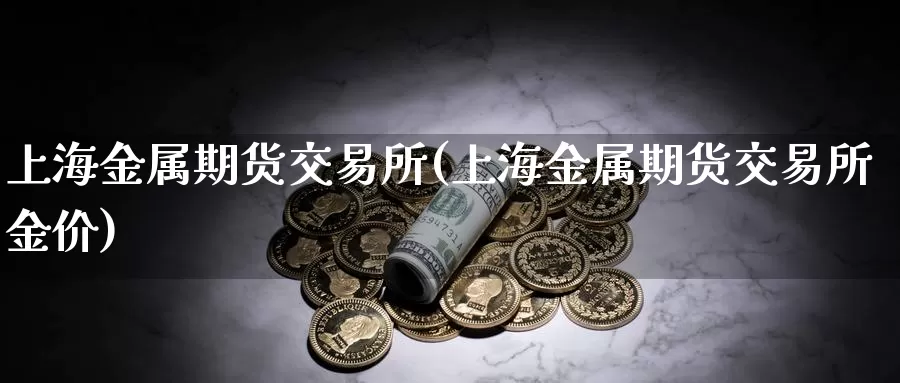 上海金属期货交易所(上海金属期货交易所金价)