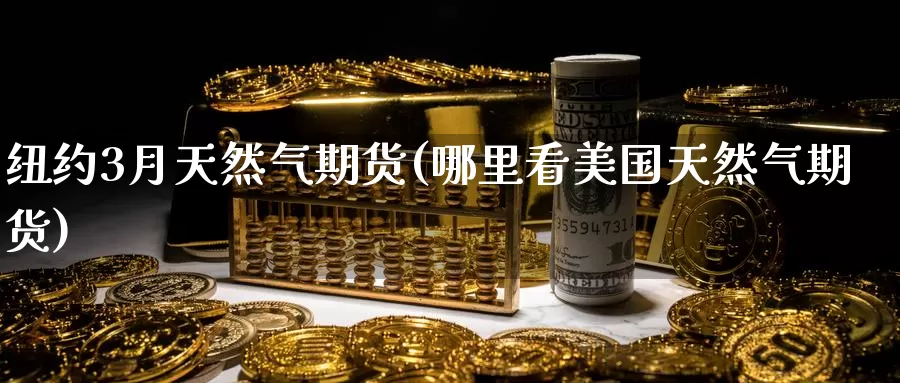 纽约3月天然气期货(哪里看美国天然气期货)