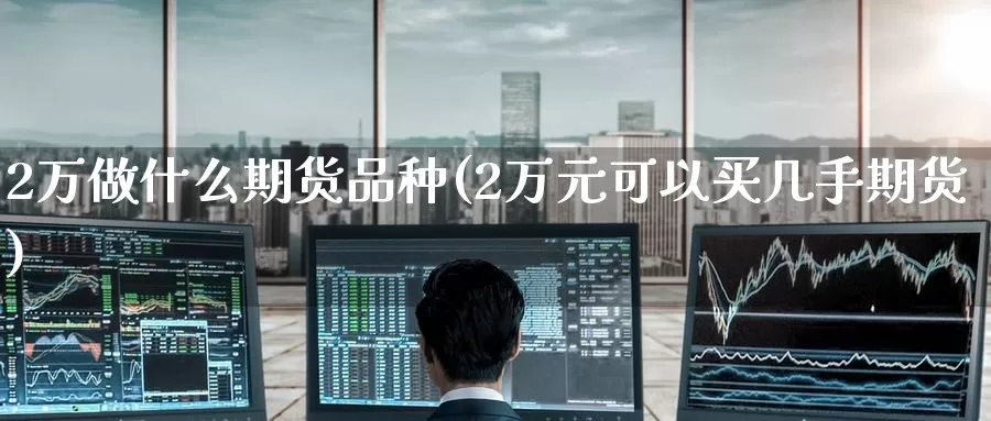 2万做什么期货品种(2万元可以买几手期货)
