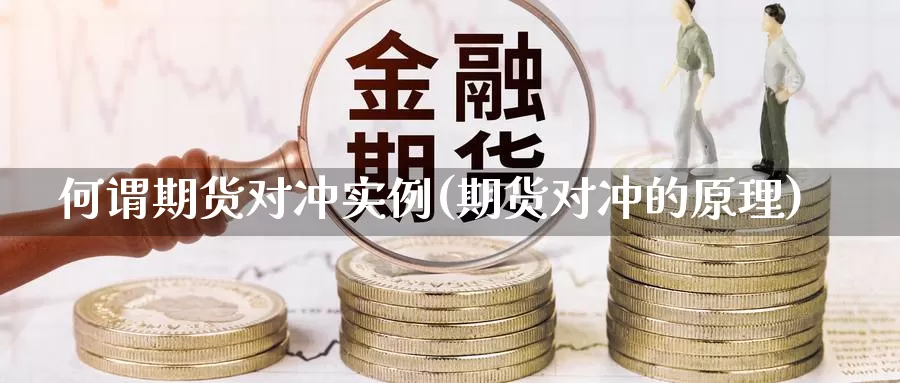 何谓期货对冲实例(期货对冲的原理)