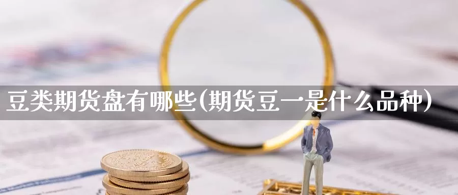 豆类期货盘有哪些(期货豆一是什么品种)