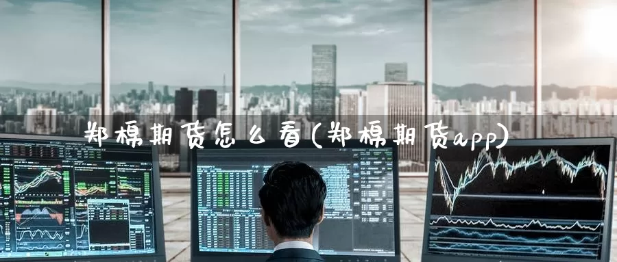 郑棉期货怎么看(郑棉期货app)