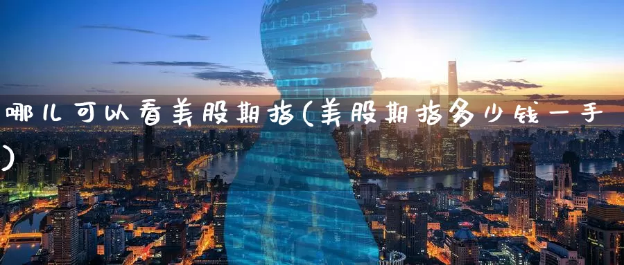 哪儿可以看美股期指(美股期指多少钱一手)
