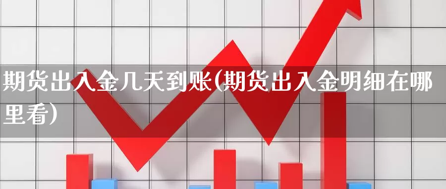 期货出入金几天到账(期货出入金明细在哪里看)