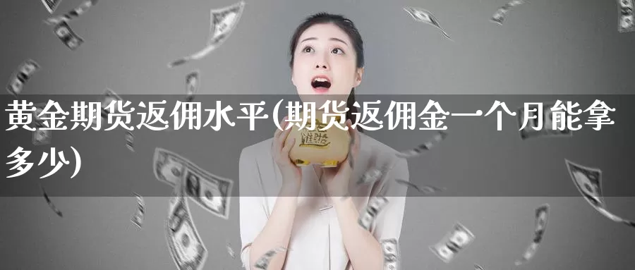 黄金期货返佣水平(期货返佣金一个月能拿多少)