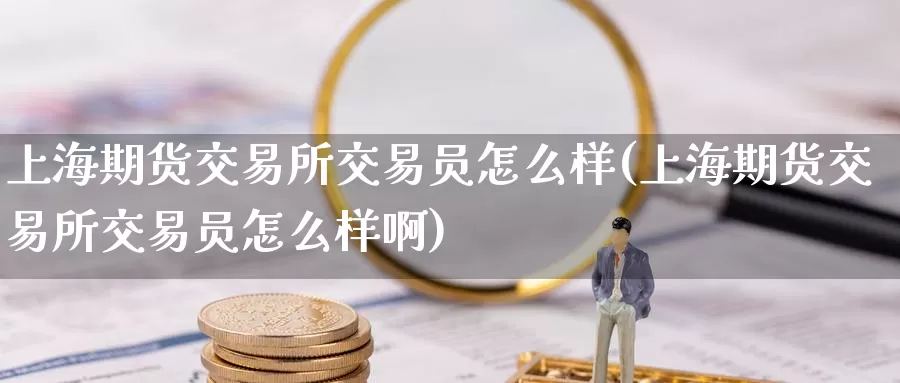 上海期货交易所交易员怎么样(上海期货交易所交易员怎么样啊)