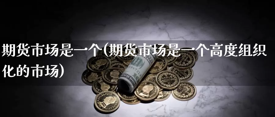 期货市场是一个(期货市场是一个高度组织化的市场)