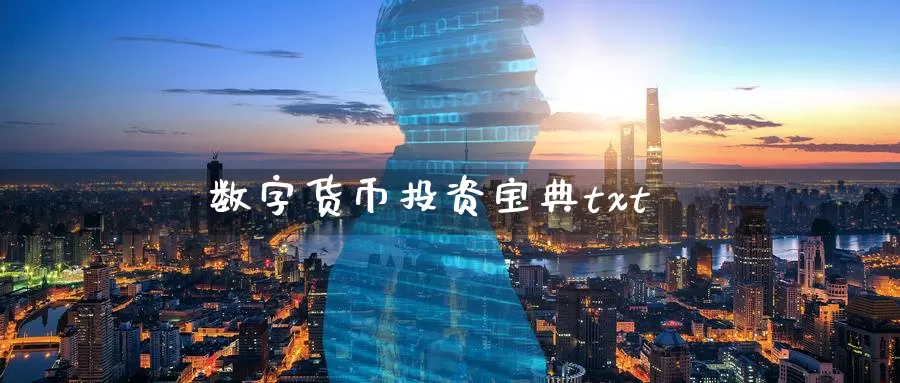 数字货币投资宝典txt