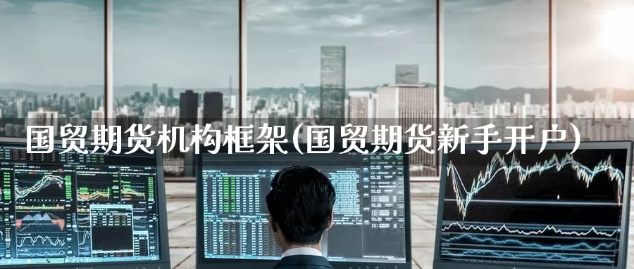 国贸期货机构框架(国贸期货新手开户)
