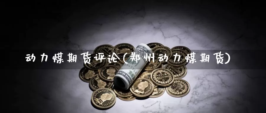 动力煤期货评论(郑州动力煤期货)