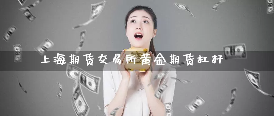 上海期货交易所黄金期货杠杆