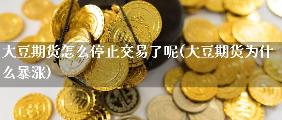 大豆期货怎么停止交易了呢(大豆期货为什么暴涨)