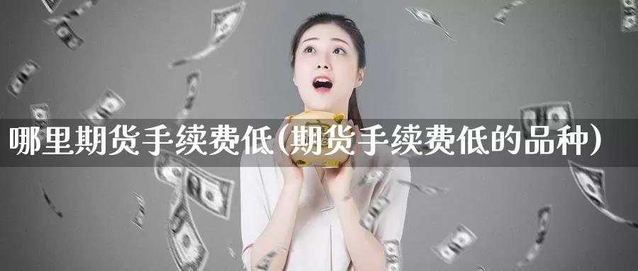 哪里期货手续费低(期货手续费低的品种)