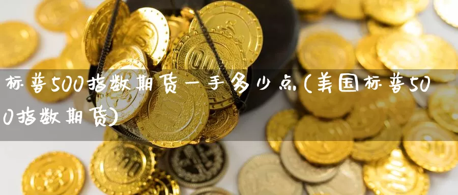 标普500指数期货一手多少点(美国标普500指数期货)