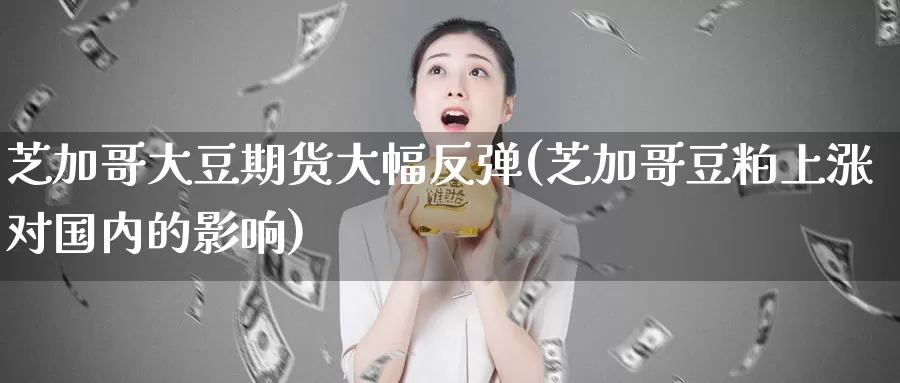 芝加哥大豆期货大幅反弹(芝加哥豆粕上涨对国内的影响)