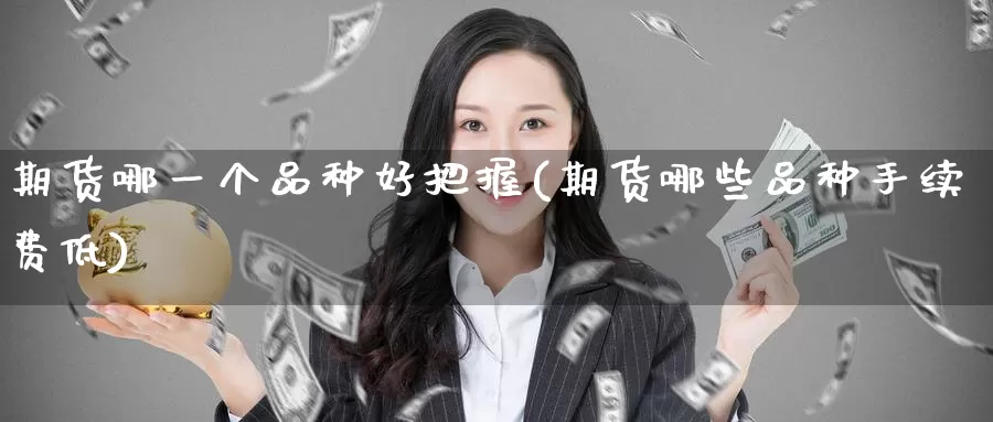 期货哪一个品种好把握(期货哪些品种手续费低)
