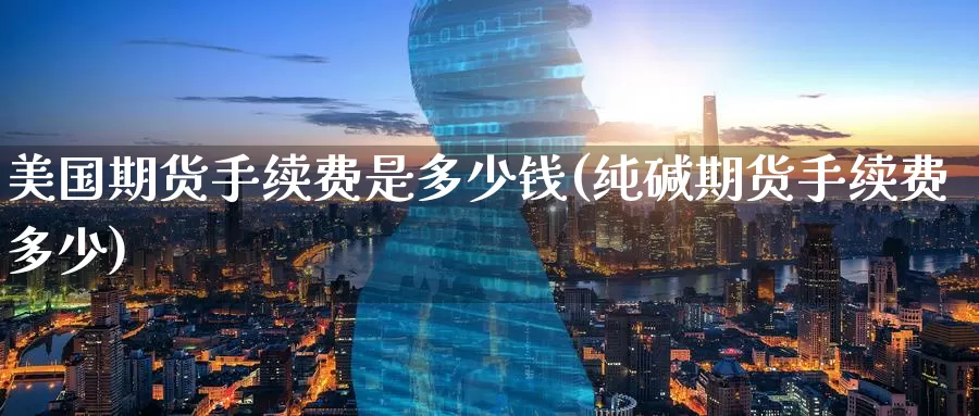 美国期货手续费是多少钱(纯碱期货手续费多少)