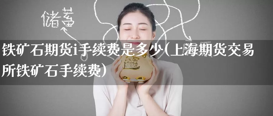 铁矿石期货i手续费是多少(上海期货交易所铁矿石手续费)