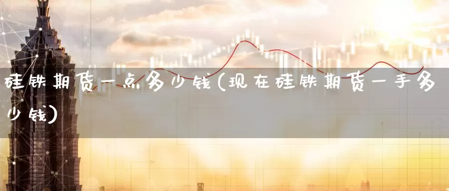 硅铁期货一点多少钱(现在硅铁期货一手多少钱)