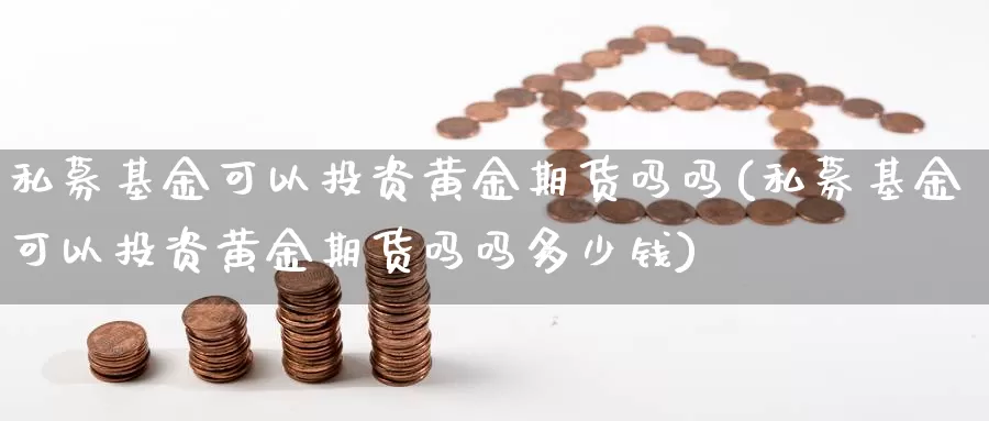 私募基金可以投资黄金期货吗吗(私募基金可以投资黄金期货吗吗多少钱)