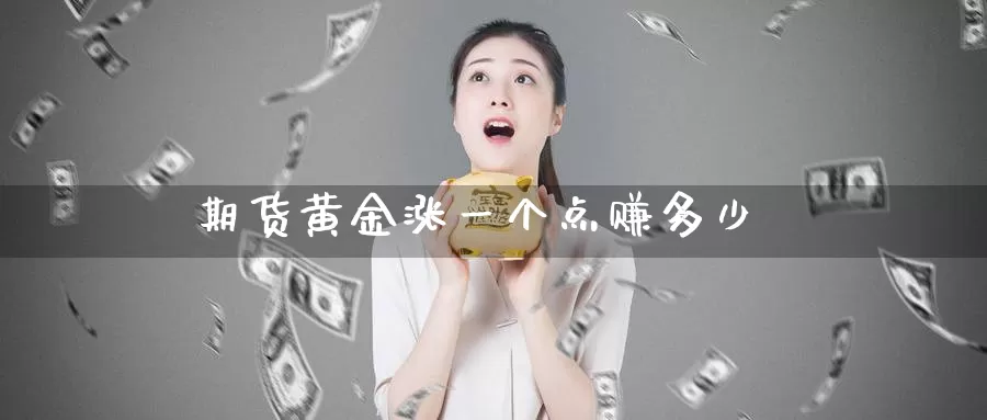 期货黄金涨一个点赚多少