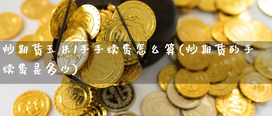 炒期货玉米1手手续费怎么算(炒期货的手续费是多少)