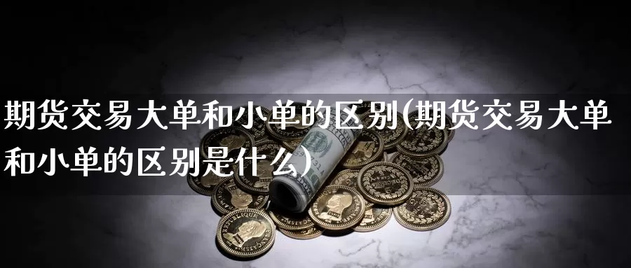 期货交易大单和小单的区别(期货交易大单和小单的区别是什么)