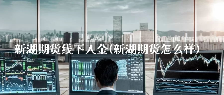 新湖期货线下入金(新湖期货怎么样)
