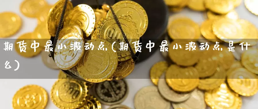 期货中最小波动点(期货中最小波动点是什么)