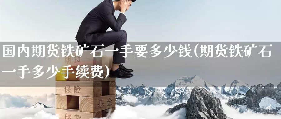 国内期货铁矿石一手要多少钱(期货铁矿石一手多少手续费)